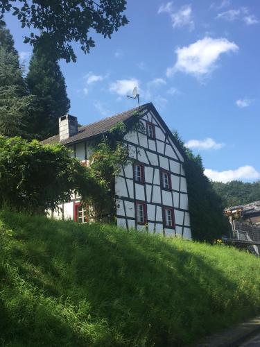 Noah - Seeleben auf Zeit am Rursee