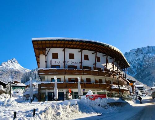 Hotel Des Alpes - Selva di Val Gardena