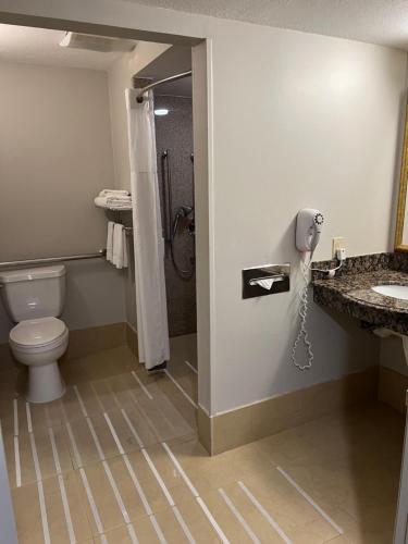 Hotel Xola Room Type - King Room - Disability Access