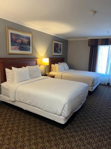 Hotel Xola