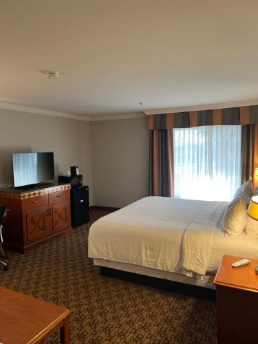Hotel Xola Room Type - Deluxe King Room