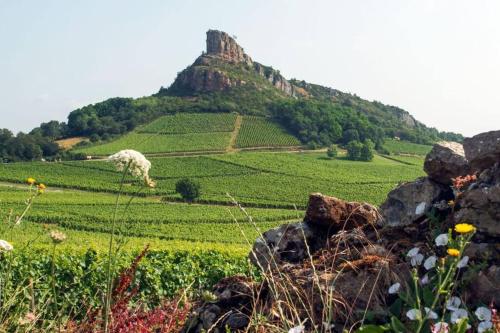 Közeli látványosságok, Grange rénovée en duplex idéalement située (Grange renovee en duplex idealement situee) in Crêches-sur-Saône