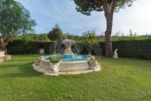  Albero del Pepe 2 - Goelba in Marina di Campo