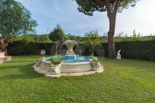  L´Albero del Pepe 1 - Goelba in Campo nell'Elba