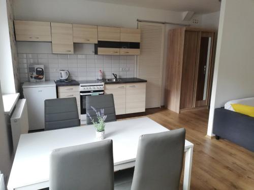 Apartmán EMA Karlovy Vary