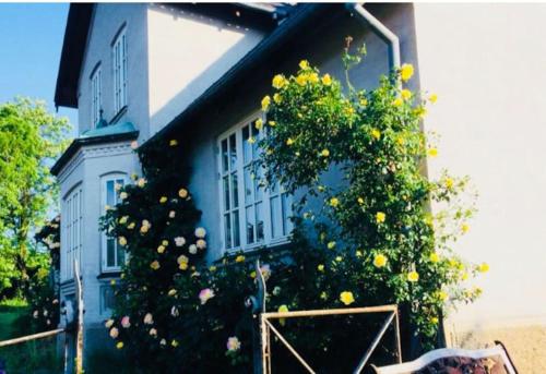 Nordsoe Housing-Rørby Kalundborg in Kalundborg