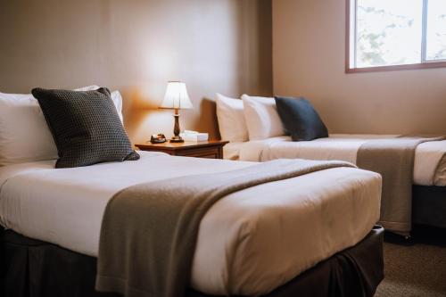 2 twin beds, 1 sofa bed