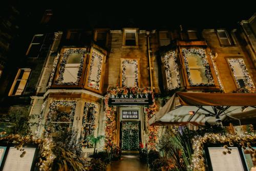 Black Ivy - image 9