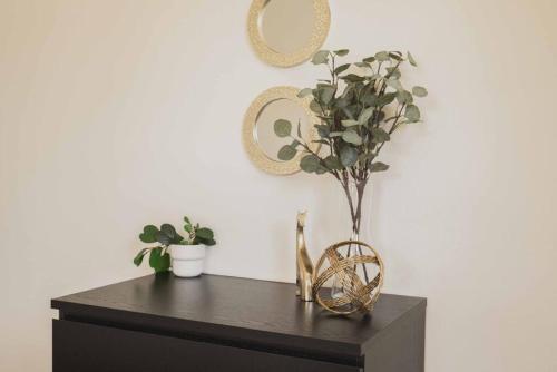 Homey 1BR Home in Mid-City near K-town in Los Angeles, USA