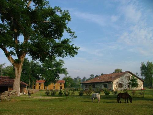 Safrachene - Location saisonnière - Sabres