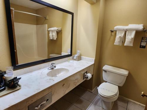 Super 8 by Wyndham Pine Bluff - image 7