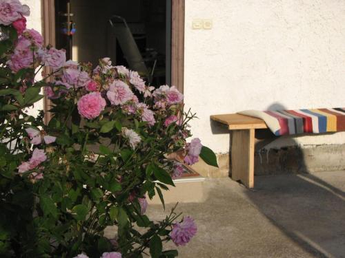 House Nada in Donji Babin Potok
