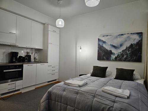 Arctic Studio in Rovaniemi