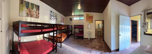 SOLID Surf Camp Hostel Nicaragua in El Transito
