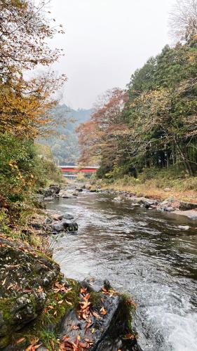 川辺-KAWABE-BBQ-川遊び-fishing