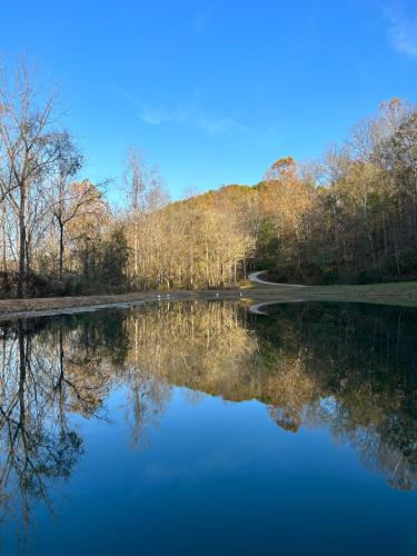 New Waterfront Cabin, 62 Acre, King Beds, Fire pit, Hiking