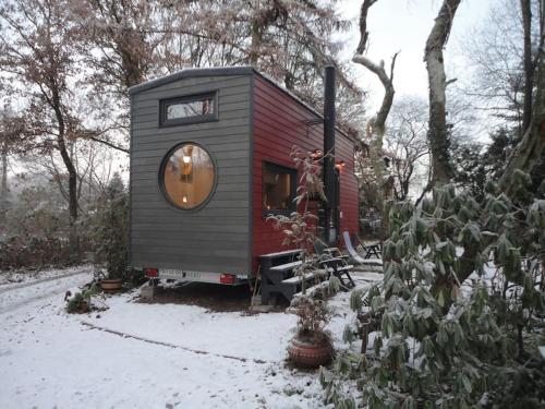 Tinyhouse on wheels, Schortens (photo 7)