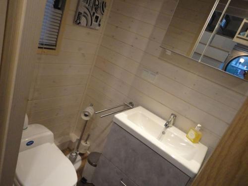 Tinyhouse on wheels, Schortens (photo 10)