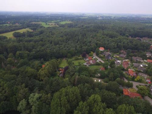 Tinyhouse on wheels in Schortens