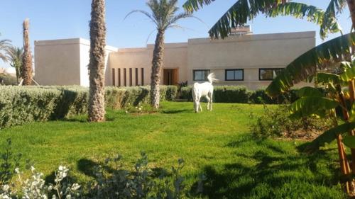 Almulk resort