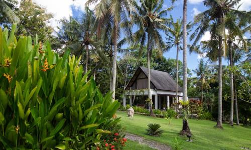 Anima Retreat Bali