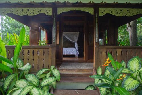 Anima Retreat Bali