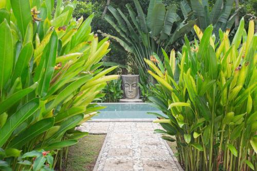 Anima Retreat Bali