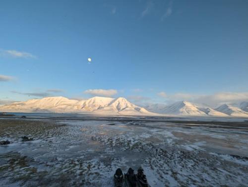 Flott enderekkehus med fantastisk utsikt - Apartment - Longyearbyen
