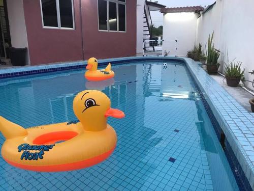 Bungalow with Private pool at Kajang Sg Chua