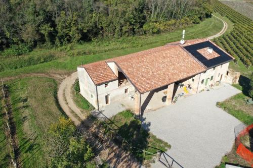  Palladio Vineyard in Vicenza