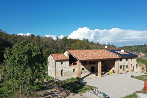  Palladio Vineyard in Vicenza