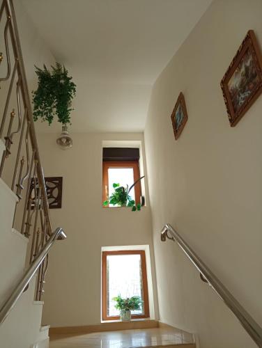 罗坎达精品酒店