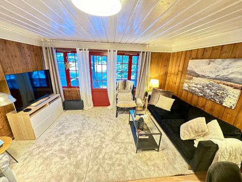 Cozy cabin with great view and immediate proximity to the ski resort and swimming area in Vradal