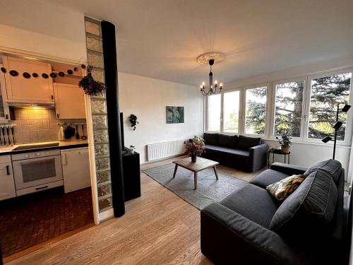 Castle View Apartment with free garage, Budapešť