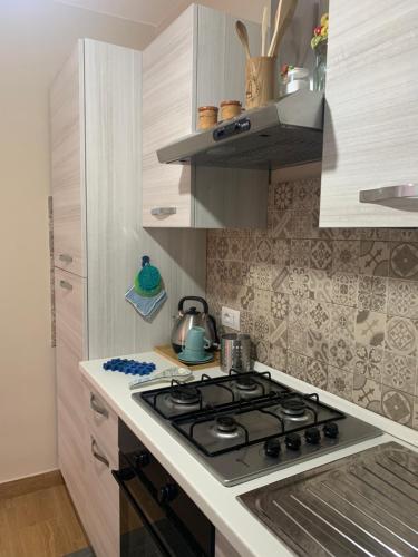 One-Bedroom House image 10