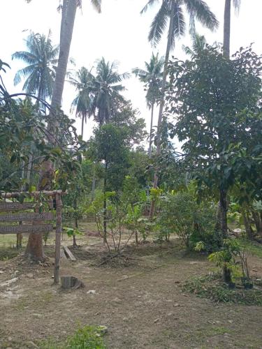 Chom Suan Farmstay