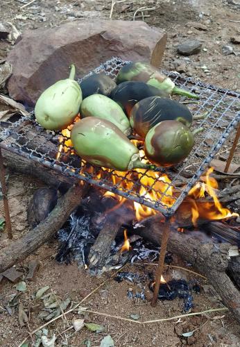 Madhav Farmhouse in ซาซานกีร์