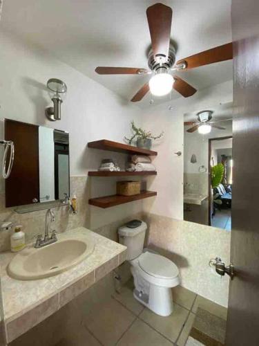 Hermoso Departamento En El Corazon de Todos Santos in Todos Santos, Mexico