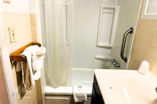 Buena Vista Inn Motel