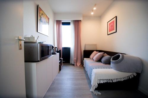 Privé kamer met chill room en gedeelde badkamer - rand Antwerpen - afrit E313 Wommelgem - vlakbij tramhalte lijn 9 en 24, Amberes (foto 9)