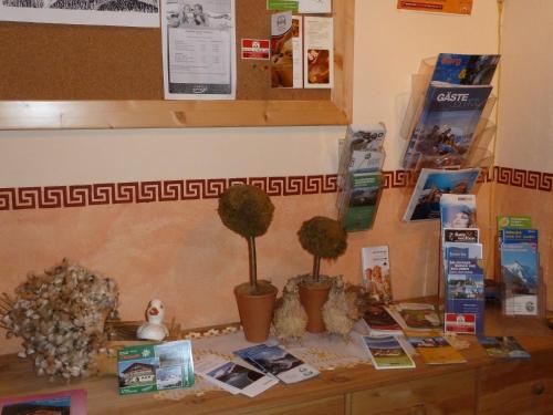 Pension Edelweiss - image 5