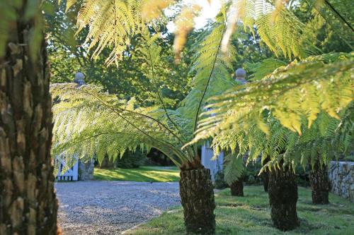 Gîte des Fougères - image 10