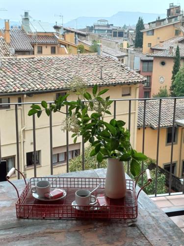 Вид, FeelhomeVIC. Ático con terraza en centro histórico (FeelhomeVIC. Atico con terraza en centro historico) in Вік