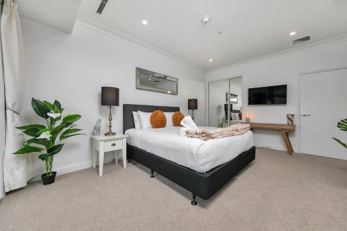 Corporate Gem + Rooftop Pool & Spa