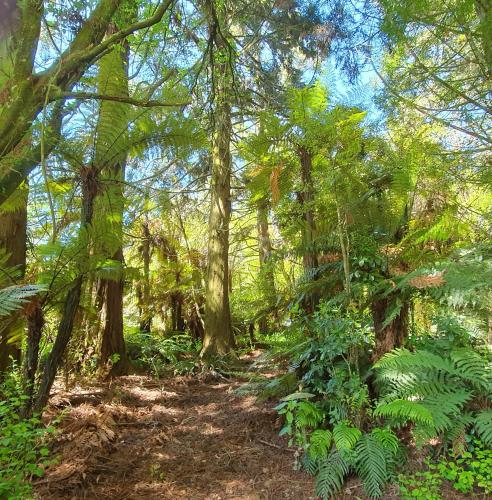 Kilátás, Poihipi Farm Stay in Marotiri