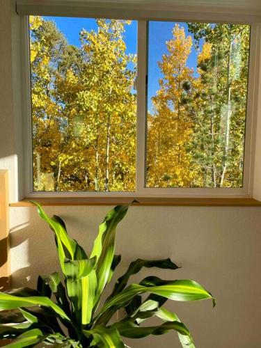 Modern Alma Home, Walk to Main St, Amazing Views, 16 mi to Breck! in Alma, USA