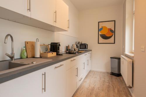 maremar - Style Apartment im Zentrum - Luxus Boxspringbett - Küche - Arbeitsplatz - Highspeed WLAN, Gera (foto 10)
