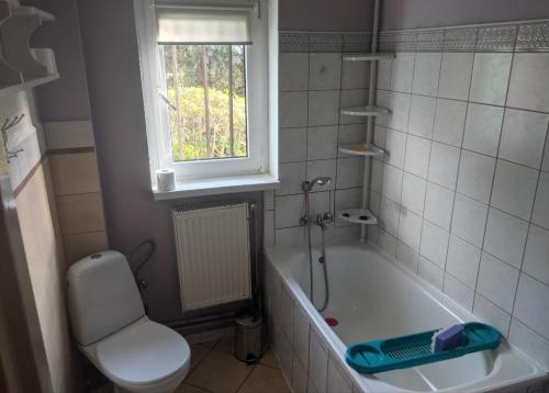 Anil Best Place in 네팔군즈