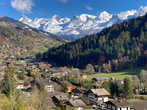 B&B Le Grand-Bornand - Appartement dupleix - 6 personnes - Grand Bornand village - Bed and Breakfast Le Grand-Bornand