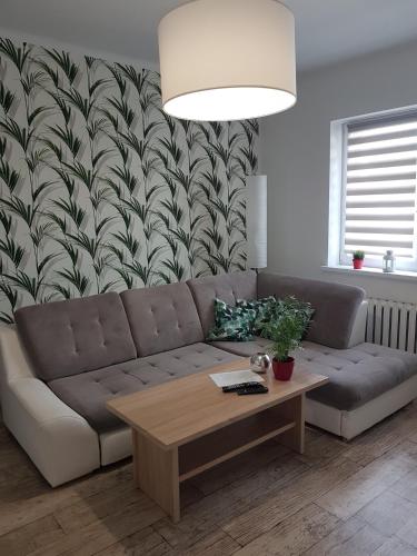 Shared lounge/TV area, Apartament Angelo in Sosnowiec